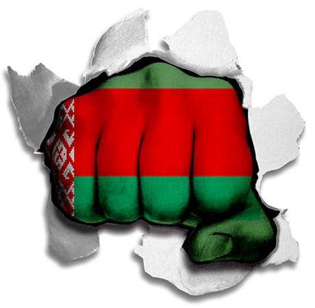 Fist Belarus Flag Logo vinyl decal